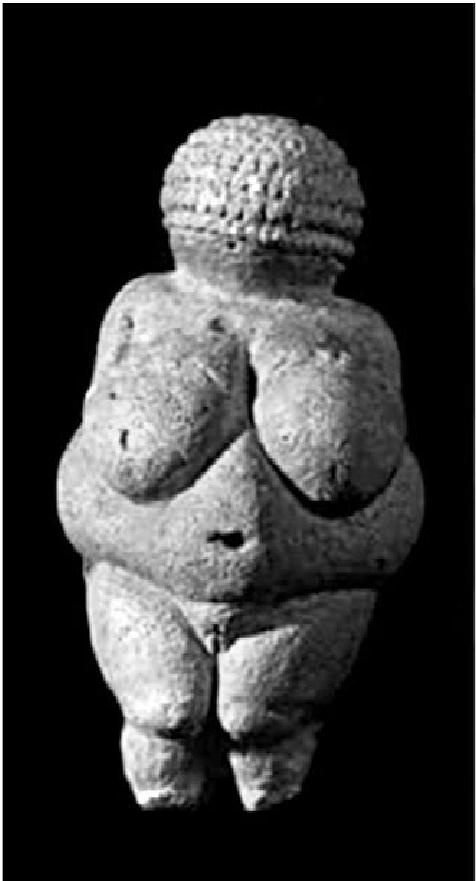 Иллюстрация к книге — Тайная миссия Третьего Рейха [i_110.jpg]