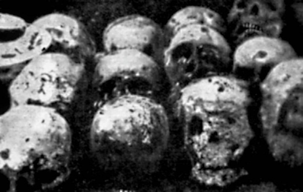 Иллюстрация к книге — Тайная миссия Третьего Рейха [i_115.jpg]