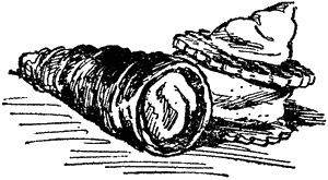 Иллюстрация к книге — Кондуит и Швамбрания [i_017.jpg]