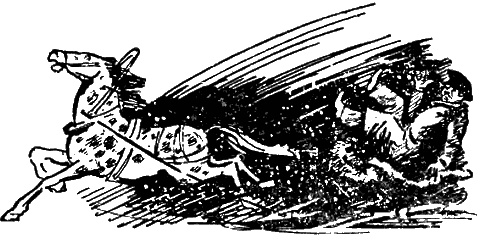 Иллюстрация к книге — Кондуит и Швамбрания [i_021.jpg]