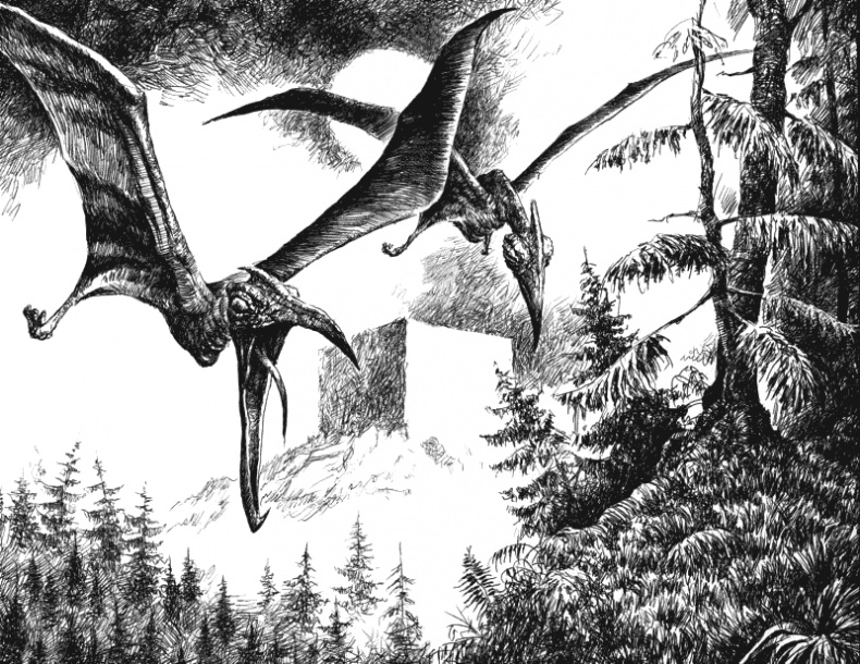 Иллюстрация к книге — Черный призрак [i_002.jpg]