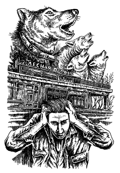 Иллюстрация к книге — Солнце полуночи. Новая эра [i_001.jpg]