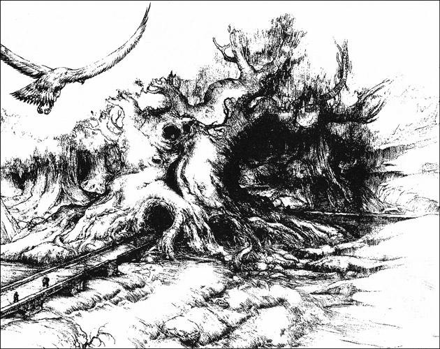 Иллюстрация к книге — Последний дракон [i_017.jpg]