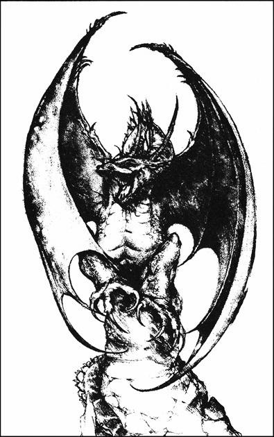 Иллюстрация к книге — Последний дракон [i_027.jpg]