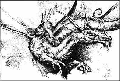 Иллюстрация к книге — Последний дракон [i_050.jpg]