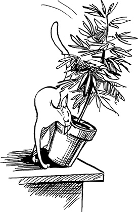 Иллюстрация к книге — Космопсихолухи. Том 2 [i_001.jpg]