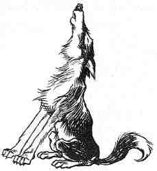 Иллюстрация к книге — Вильям и волки [i_001.jpg]