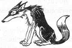 Иллюстрация к книге — Вильям и волки [i_008.jpg]