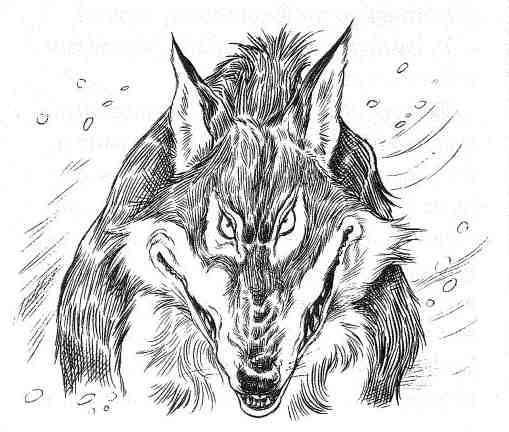 Иллюстрация к книге — Вильям и волки [i_009.jpg]