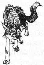 Иллюстрация к книге — Вильям и волки [i_010.jpg]