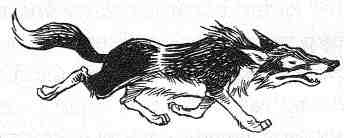 Иллюстрация к книге — Вильям и волки [i_021.jpg]