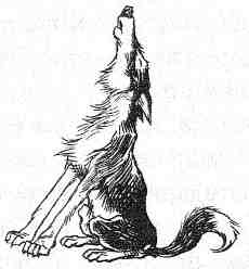 Иллюстрация к книге — Вильям и волки [i_028.jpg]