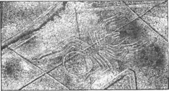 Иллюстрация к книге — Завещание майя [i_013.jpg]