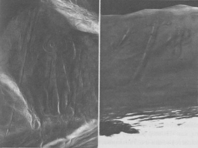 Иллюстрация к книге — Послание майя [pic04.jpg]