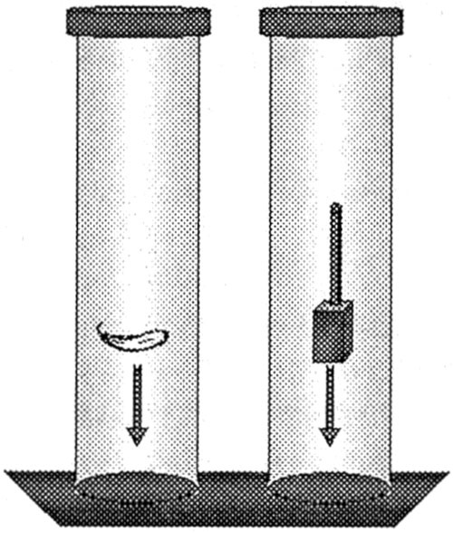 Иллюстрация к книге — Последний элемент [img04.jpg]
