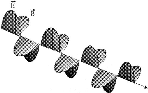 Иллюстрация к книге — Последний элемент [img12.jpg]