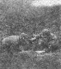 Иллюстрация к книге — Русские диверсанты против "кукушек" [i_004.jpg]