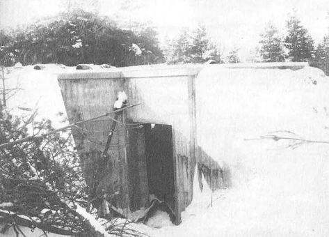 Иллюстрация к книге — Русские диверсанты против "кукушек" [i_024.jpg]