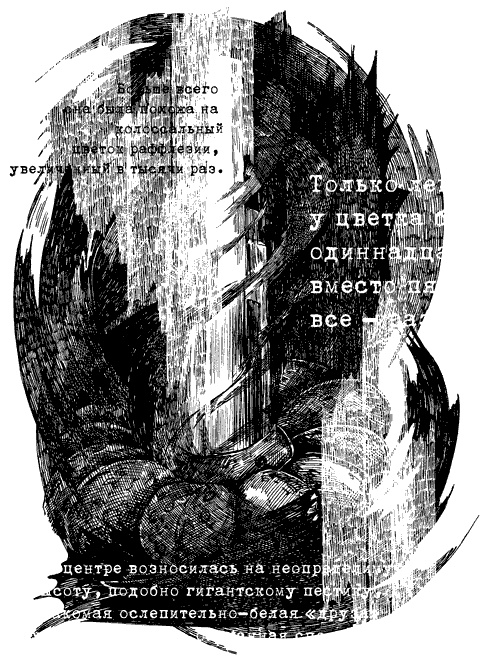 Иллюстрация к книге — Аберрация [i_004.jpg]