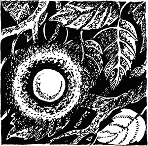 Иллюстрация к книге — Детская книга для девочек [i_005.jpg]