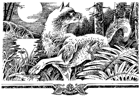 Иллюстрация к книге — Миссия Огнезвезда. Книга 1. Искупление [i_005.jpg]