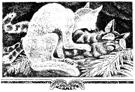 Иллюстрация к книге — Миссия Огнезвезда. Книга 1. Искупление [i_007.jpg]