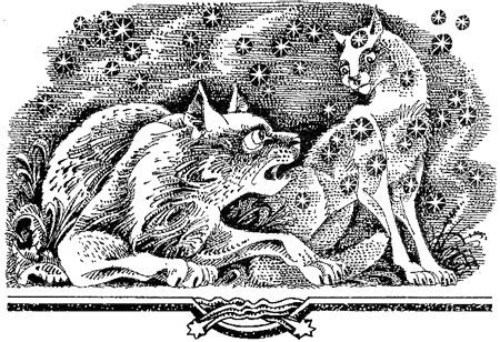 Иллюстрация к книге — Миссия Огнезвезда. Книга 1. Искупление [i_008.jpg]