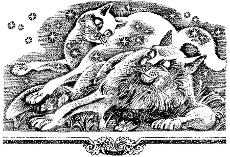 Иллюстрация к книге — Миссия Огнезвезда. Книга 1. Искупление [i_009.jpg]