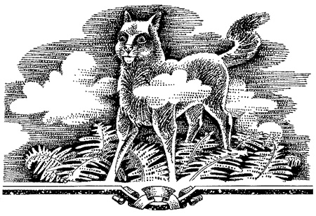 Иллюстрация к книге — Миссия Огнезвезда. Книга 1. Искупление [i_011.jpg]