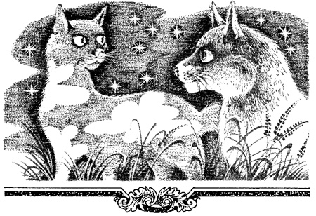 Иллюстрация к книге — Миссия Огнезвезда. Книга 1. Искупление [i_012.jpg]