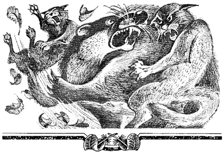 Иллюстрация к книге — Миссия Огнезвезда. Книга 1. Искупление [i_013.jpg]