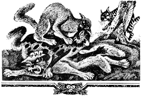 Иллюстрация к книге — Миссия Огнезвезда. Книга 1. Искупление [i_017.jpg]