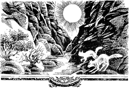 Иллюстрация к книге — Миссия Огнезвезда. Книга 1. Искупление [i_019.jpg]