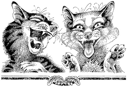 Иллюстрация к книге — Миссия Огнезвезда. Книга 1. Искупление [i_021.jpg]