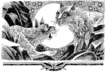 Иллюстрация к книге — Миссия Огнезвезда. Книга 1. Искупление [i_023.jpg]