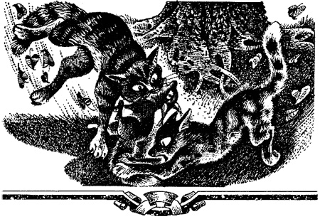 Иллюстрация к книге — Миссия Огнезвезда. Книга 2. Возрождение [i_004.jpg]