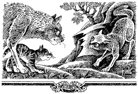 Иллюстрация к книге — Миссия Огнезвезда. Книга 2. Возрождение [i_006.jpg]