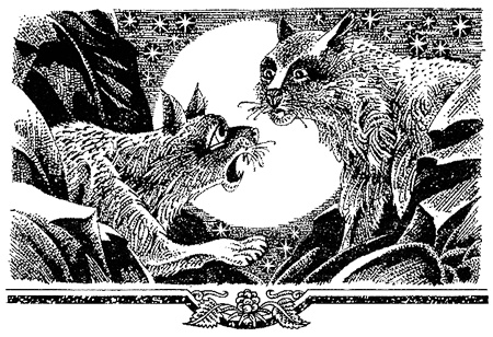 Иллюстрация к книге — Миссия Огнезвезда. Книга 2. Возрождение [i_008.jpg]