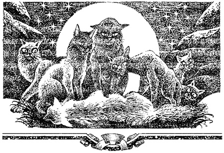 Иллюстрация к книге — Миссия Огнезвезда. Книга 2. Возрождение [i_009.jpg]