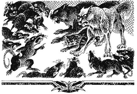 Иллюстрация к книге — Миссия Огнезвезда. Книга 2. Возрождение [i_011.jpg]