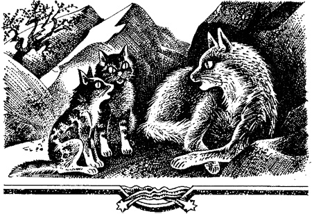 Иллюстрация к книге — Миссия Огнезвезда. Книга 2. Возрождение [i_013.jpg]