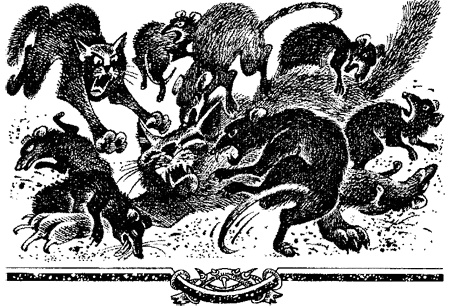 Иллюстрация к книге — Миссия Огнезвезда. Книга 2. Возрождение [i_015.jpg]