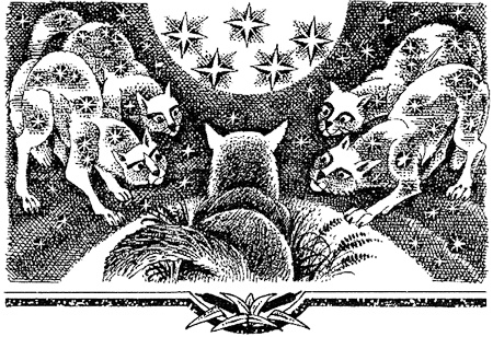 Иллюстрация к книге — Миссия Огнезвезда. Книга 2. Возрождение [i_018.jpg]