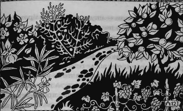 Иллюстрация к книге — Верность Джиннии [i_009.jpg]