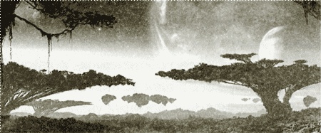 Иллюстрация к книге — Аватар Джеймса Кэмерона. В поисках На'ви [i_006.jpg]