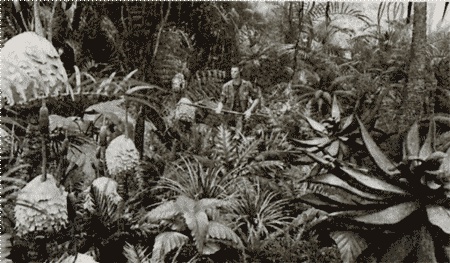 Иллюстрация к книге — Аватар Джеймса Кэмерона. В поисках На'ви [i_007.jpg]