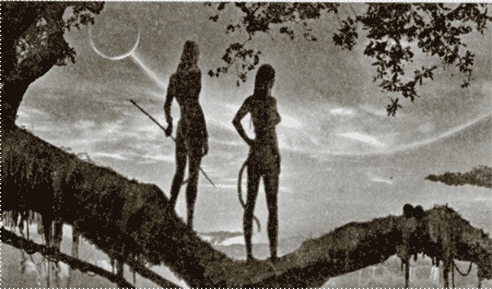 Иллюстрация к книге — Аватар Джеймса Кэмерона. В поисках На'ви [i_014.jpg]