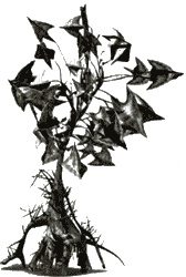 Иллюстрация к книге — Аватар Джеймса Кэмерона. В поисках На'ви [i_017.jpg]