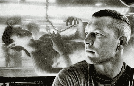 Иллюстрация к книге — Аватар Джеймса Кэмерона. В поисках На'ви [i_019.jpg]