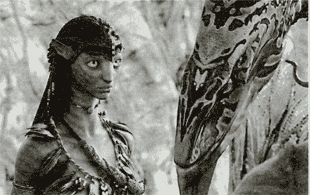 Иллюстрация к книге — Аватар Джеймса Кэмерона. В поисках На'ви [i_021.jpg]